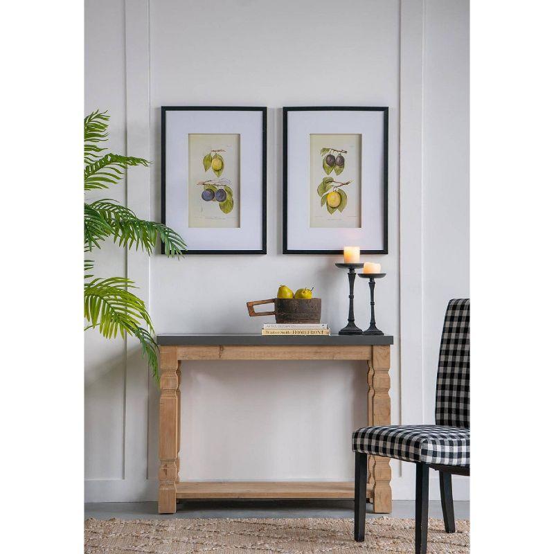 Set of 2 Smithsonian Fruit Framed Wall Arts - A&B Home: Transitional Decor, Vertical Orientation, Includes Mounting Hardware