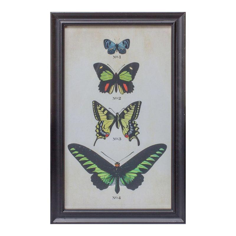 Framed Encyclopedia Butterfly Print Under Glass (Set of 2)