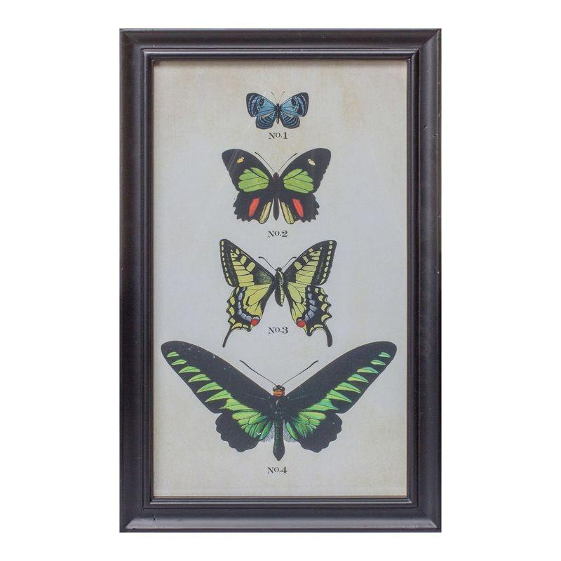 Melrose Framed Encyclopedia Butterfly Print (Set of 2)