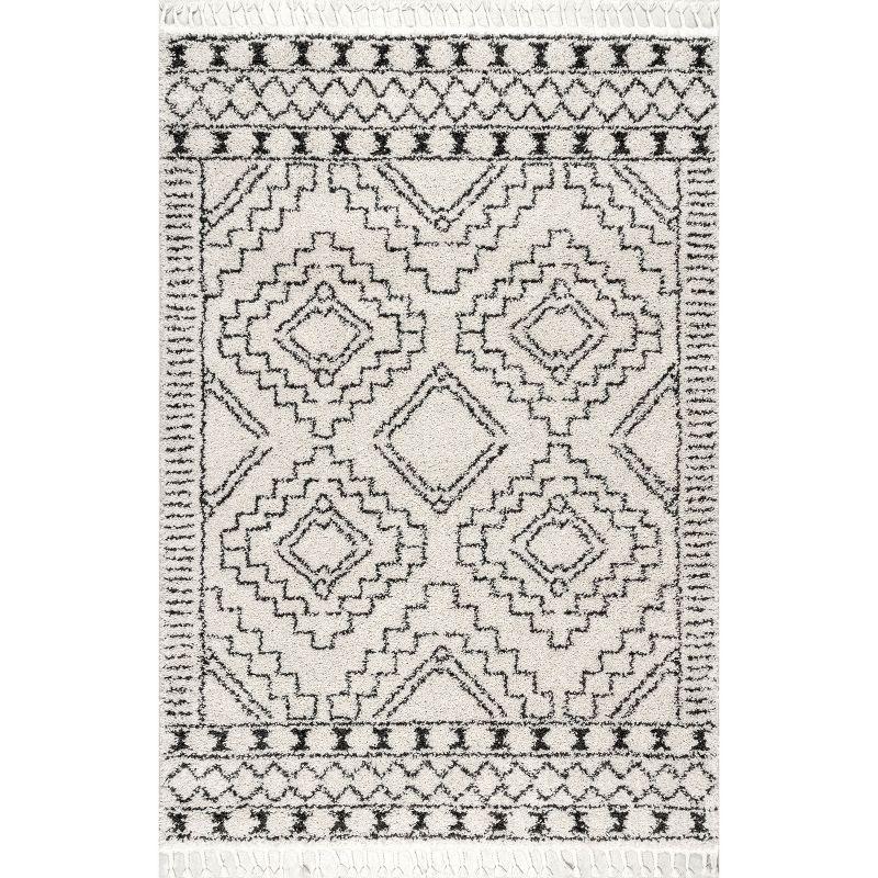 Ivory Geometric Braided Shag Area Rug with Tassels