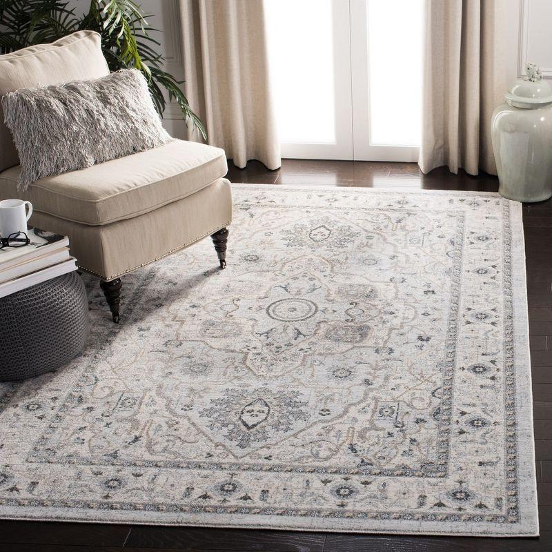 Isabella ISA936 Power Loomed Area Rug - Light Grey/Grey - 4'x6' - Safavieh.