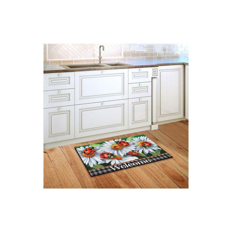 Briarwood Lane Spring Doormat 30x18 Indoor Outdoor Ladybugs and Daisies For Spring Doormat
