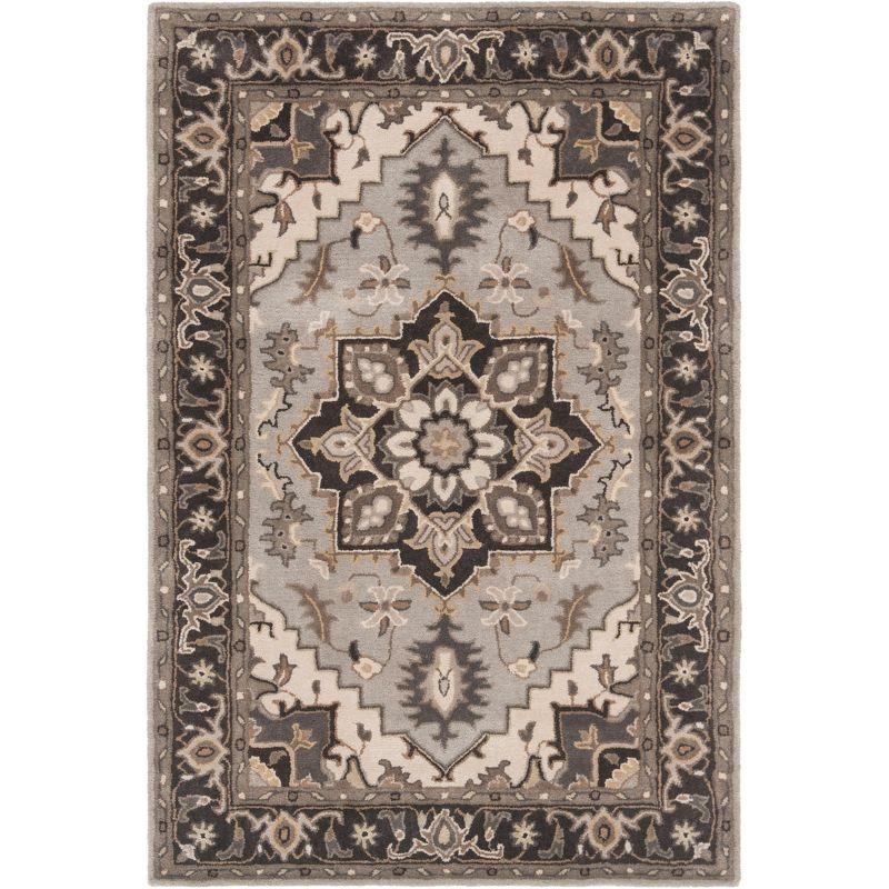 Royalty ROY700 Hand Tufted Indoor Accent Rug - 4'x6' - Silver/Charcoal - Safavieh