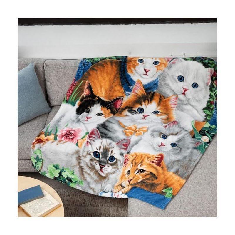 Dawhud Direct 50" x 60" Cartoon Selfie Farm Animals Throw Blanket for Women, Men and Kids