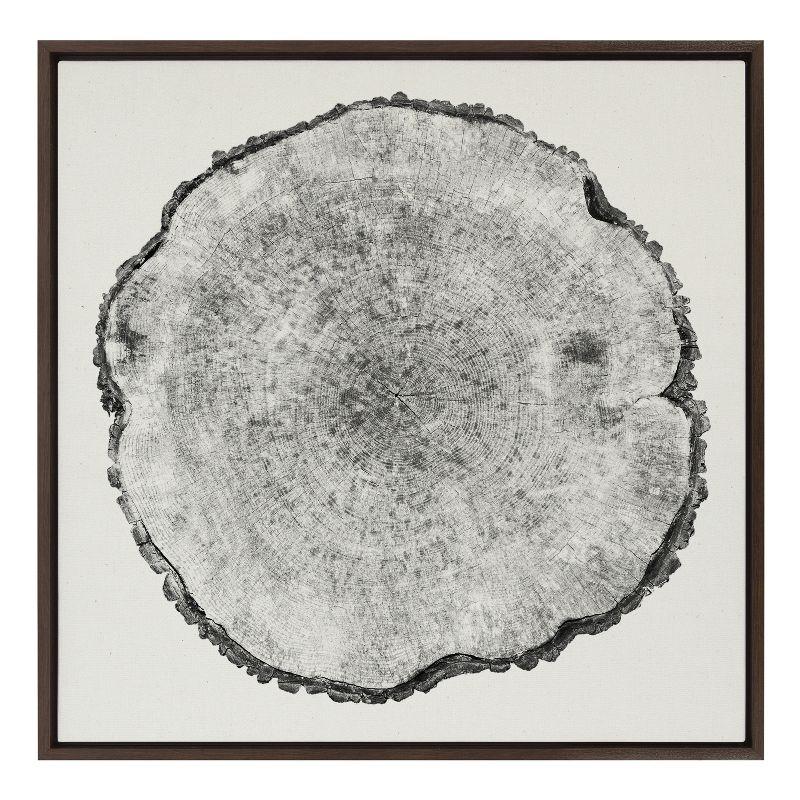 Kate and Laurel Sylvie Tree Rings Linen Framed Canvas by Emiko and Mark Franzen of F2Images, 30x30, Walnut Brown