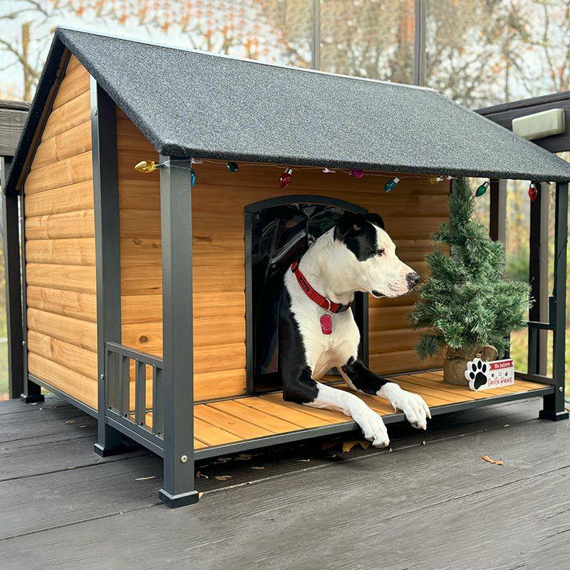Aivituvin Weatherproof Dog House with Iron Frame| Extended Asphalt Roof|Spacious Balcony-AIR7010