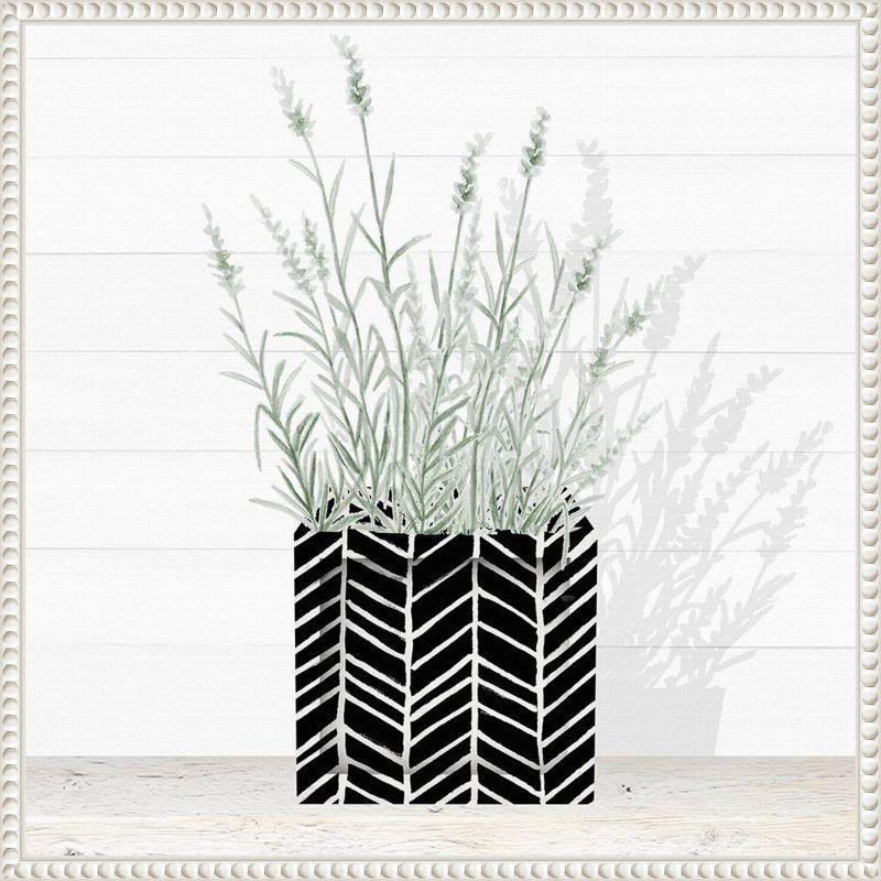 Lavender Blossom in Black and White Canvas Wall Art