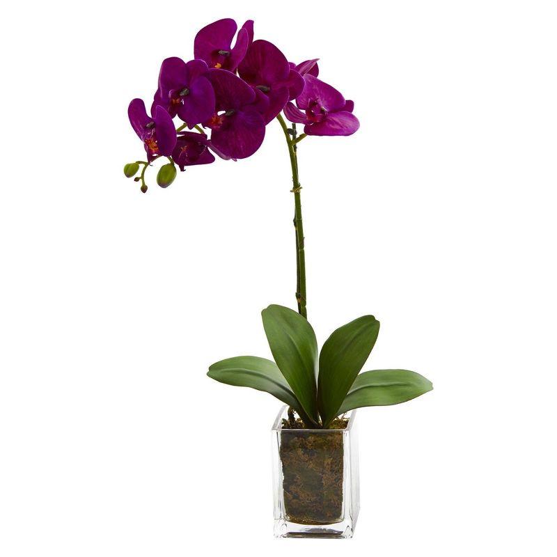 Elegant White Orchid Phalaenopsis 24" Artificial Arrangement in Glass Vase