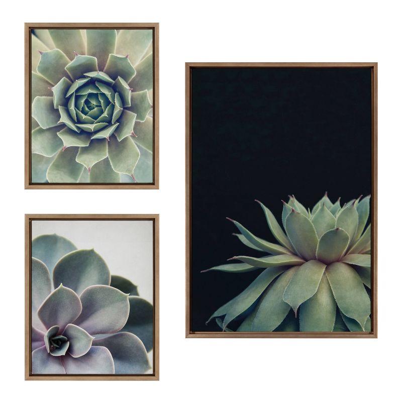 Set of 3 Gold Framed Succulent Canvas Prints