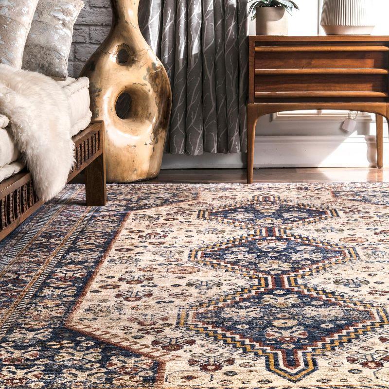 nuLOOM Vintage Idalia Overdyed Area Rug