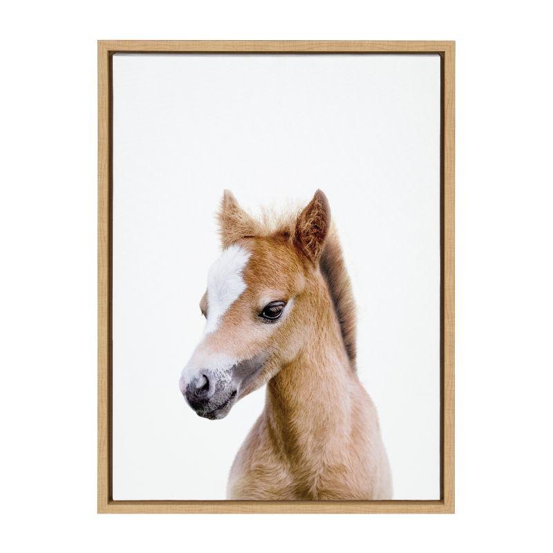 Kate & Laurel All Things Decor 18"x24" Sylvie Animal Studio Baby Horse Framed Canvas by Amy Peterson Natural : Vertical Digital Art