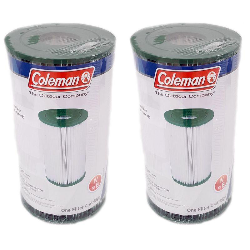 Coleman 90358E Type IV/Type B Swimming Pool Filter Pump Replacement Cartridges for 2,500 Gallons Per Hour Filter Pumps (2 Pack)