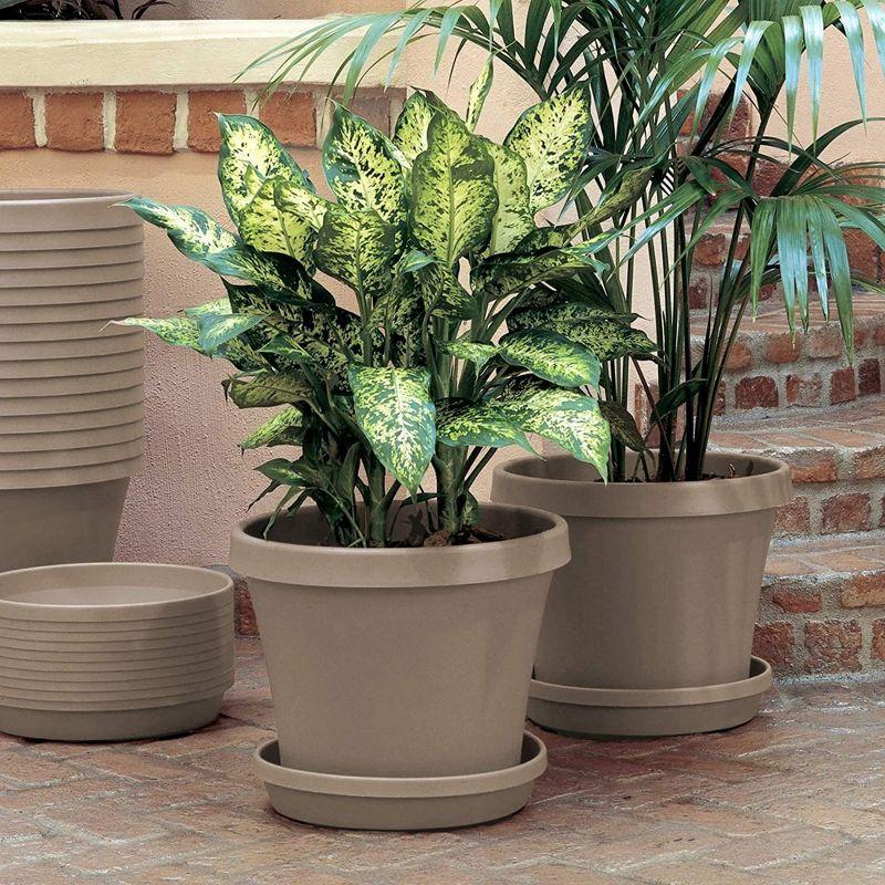 Bloem Terra Plastic Pot Planter, Pebble Stone, 10in