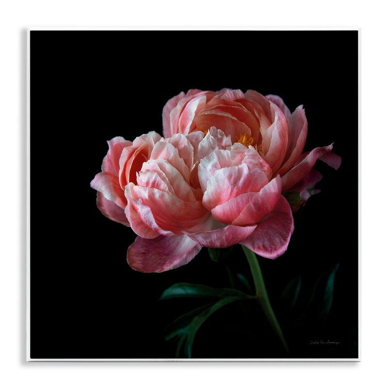 Dark Rose Photography 12" x 12" MDF Wood Wall Plaque