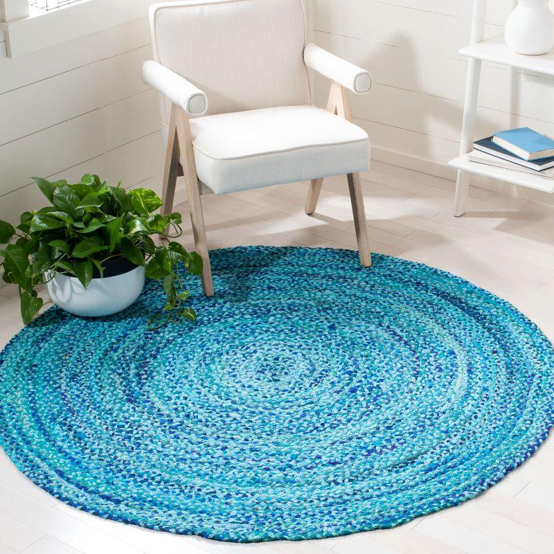 Braided BRD452 Hand Woven Area Rug  - Safavieh