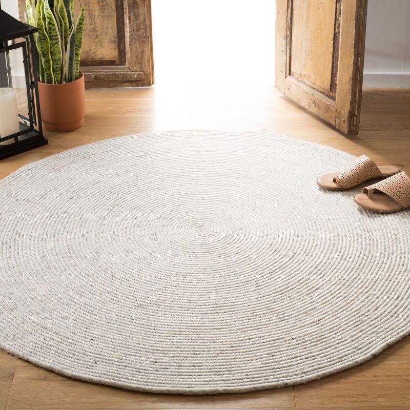 Braided BRD901 Hand Woven Area Rug  - Safavieh