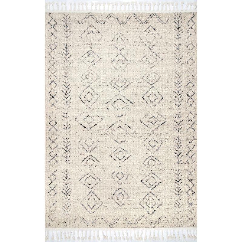 Ivory Braided Rectangular Synthetic Area Rug with Tassels