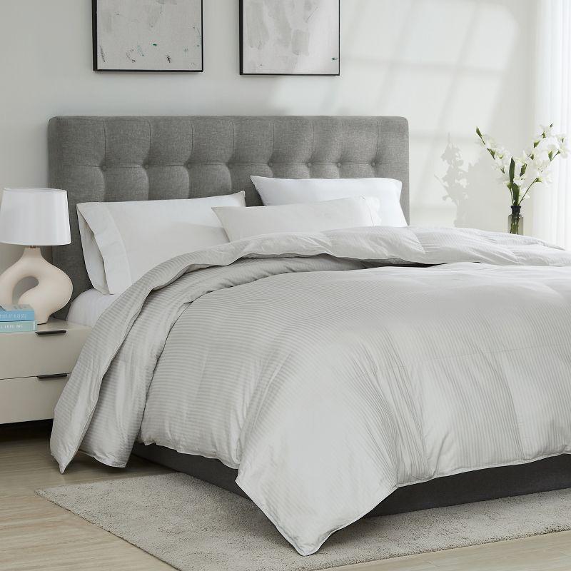 Downlite Oversized 120" x 120" King Down Alternative Comforter & Reviews | Wayfair