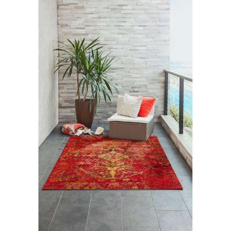 Liora Manne Marina Traditional Indoor/Outdoor Rug..