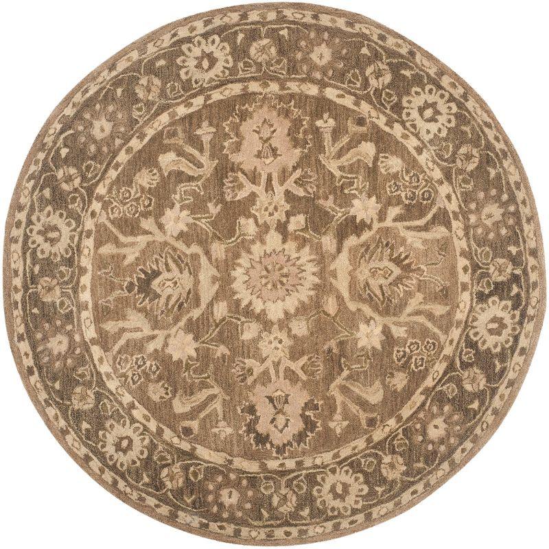 Anatolia AN585 Hand Tufted Traditional Area Rug  - Safavieh