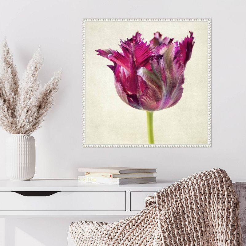 Single Parrot Tulip II Pink Canvas Wall Art with White Frame