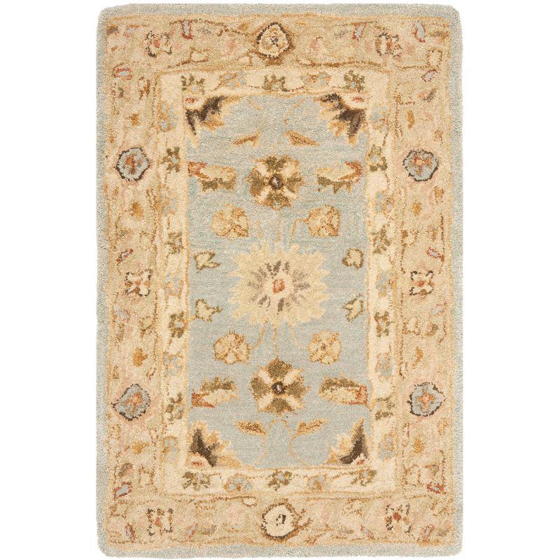 Anatolia AN556 Hand Tufted Indoor Accent Rug - Light Blue/Sage - 2'x3' - Safavieh