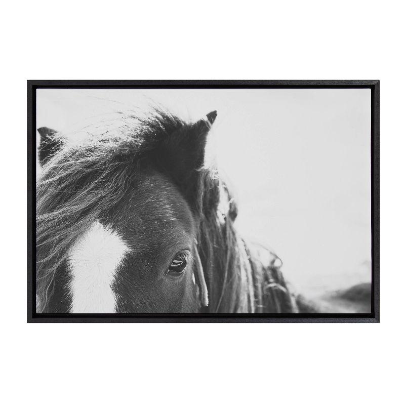 Noble Black and White Horse Framed Canvas Print