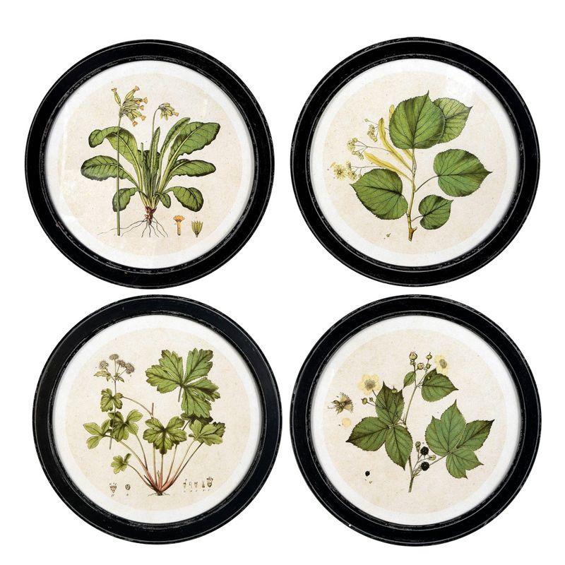 Set of 4 Vintage Botanical Print Wood Framed Wall Art