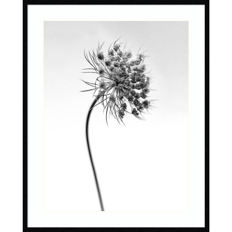 Large Black and White Botanical Framed Wall Art Print