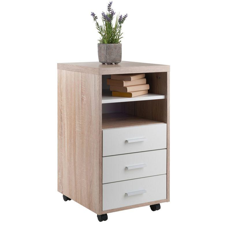 Winsome Kenner Mobile 3 Drawer Storage Cabinet Wood : Home Office, Locking Casters, Wood Composite