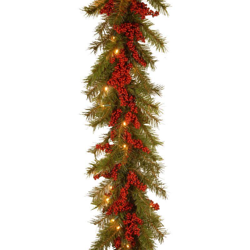 9ft Pre-Lit Valley Pine Garland with Red Berries