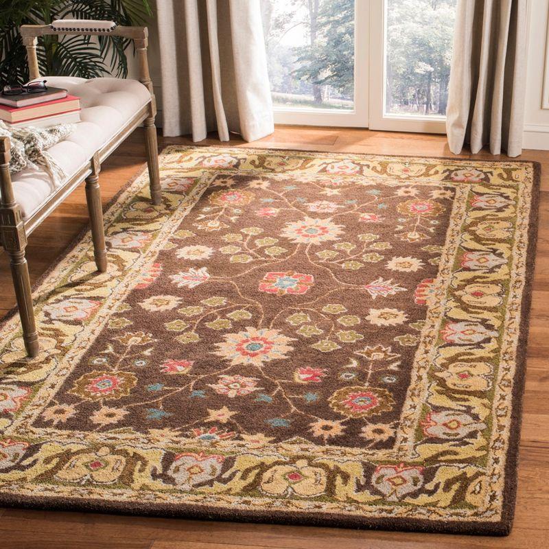 Anatolia AN562 Hand Tufted Area Rug  - Safavieh