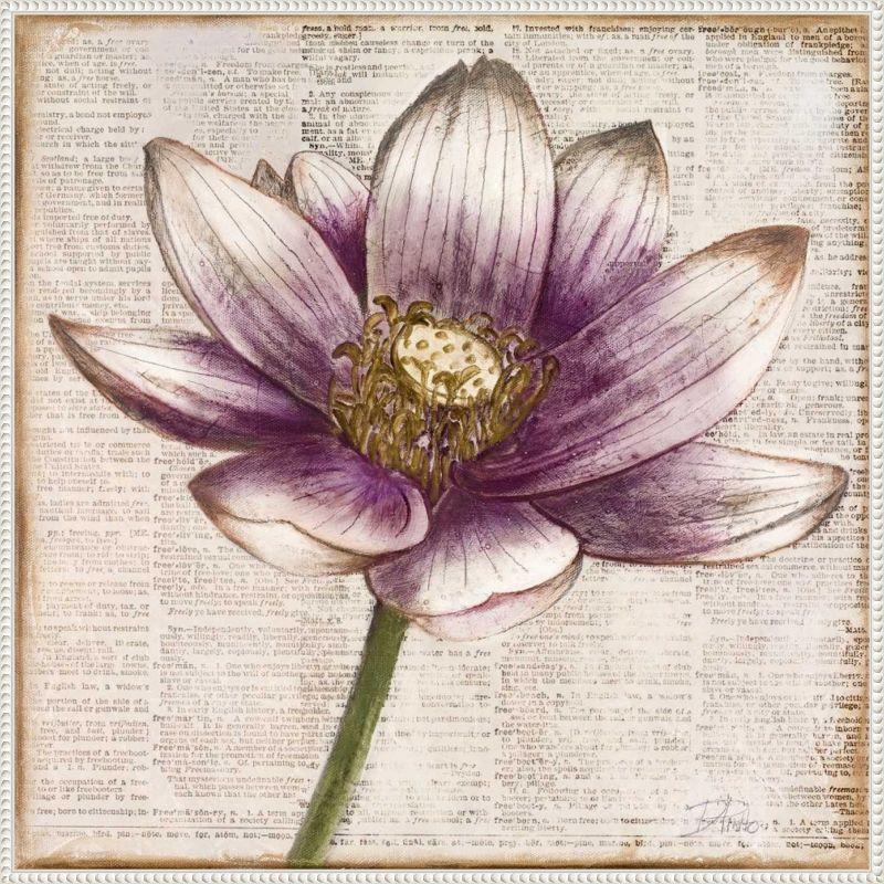 Amanti Art Defined Lotus Flower II by Patricia Pinto Canvas Wall Art Print Framed 30 x 30-in.