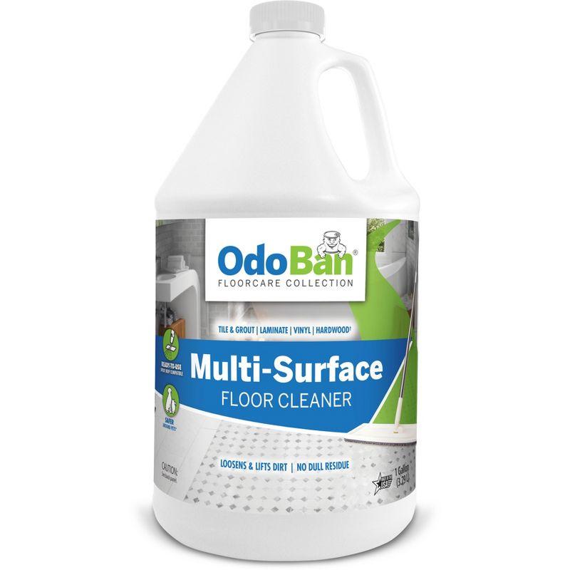 OdoBan 1-Gallon Scentless Multi-Surface Floor Cleaner