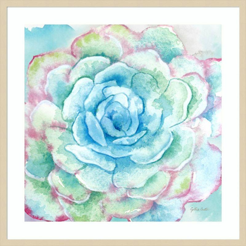 Amanti Art Sweet Succulents I by Cynthia Coulter Framed Wall Art Print