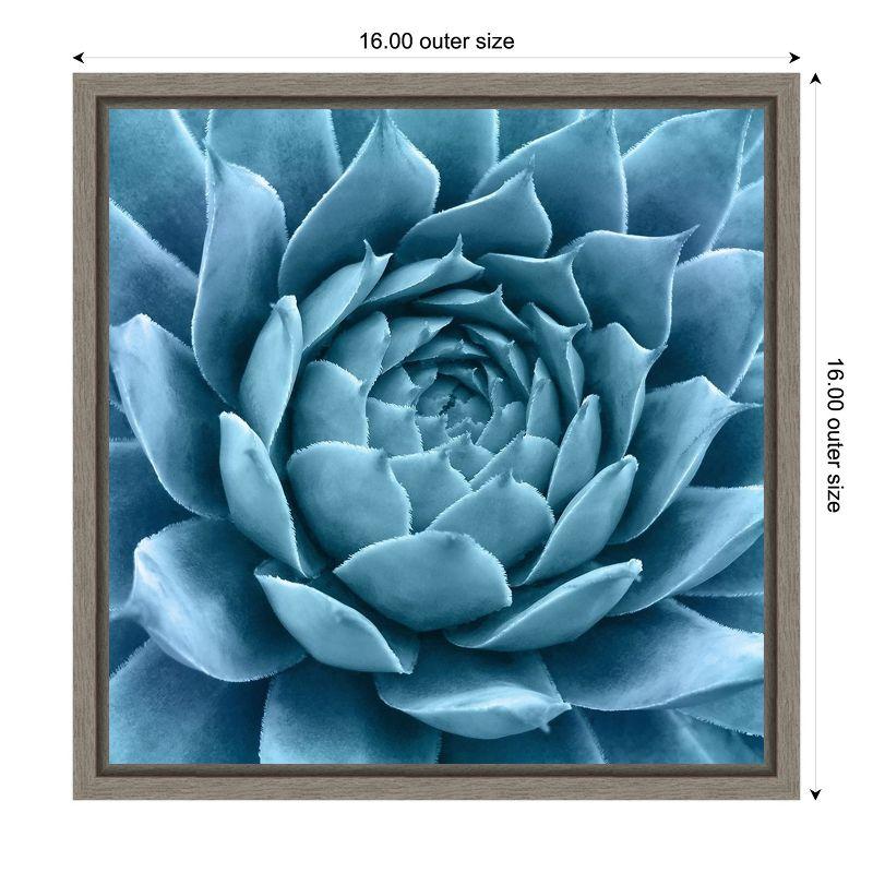 Silvery Blue Agave Framed Canvas Wall Art 16 x 16-in