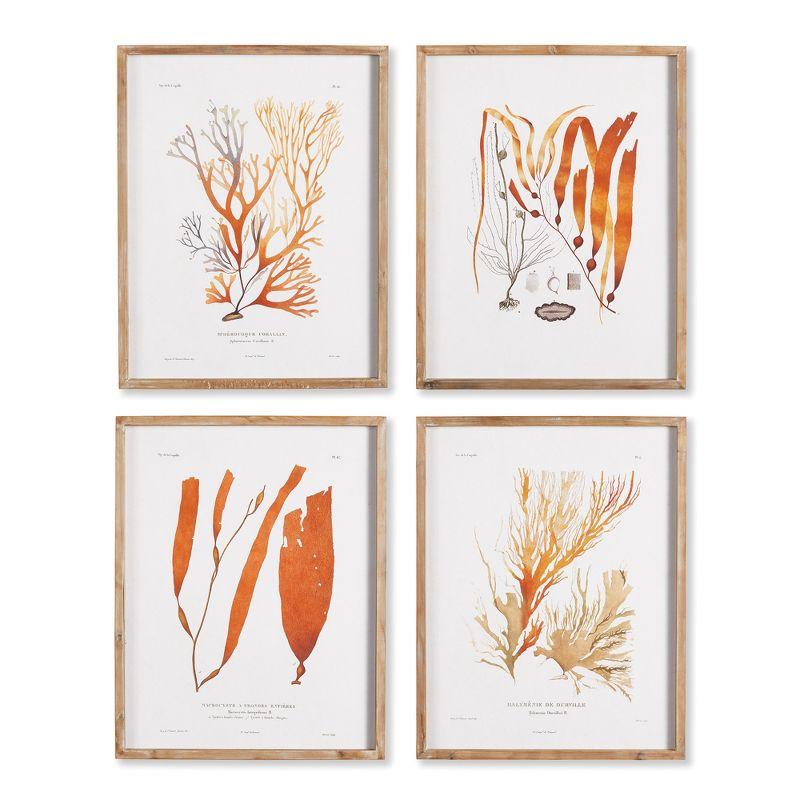 Plum & Post Coral Reef Study Set of 4