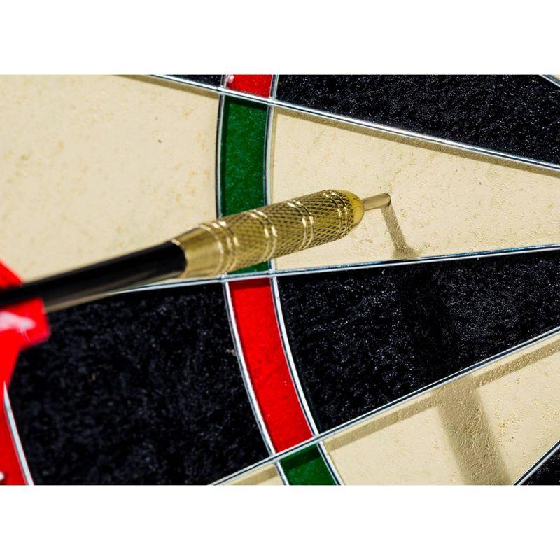 Pro Wire Bristle Dartboard