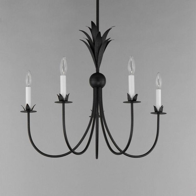 Maxim Lighting Paloma 5 - Light Chandelier in  Anthracite