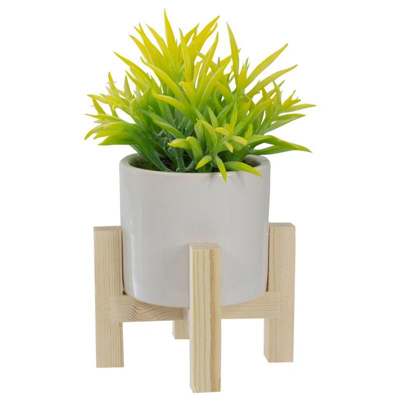 8" Potted Green Artificial Succulent with Wooden Stand