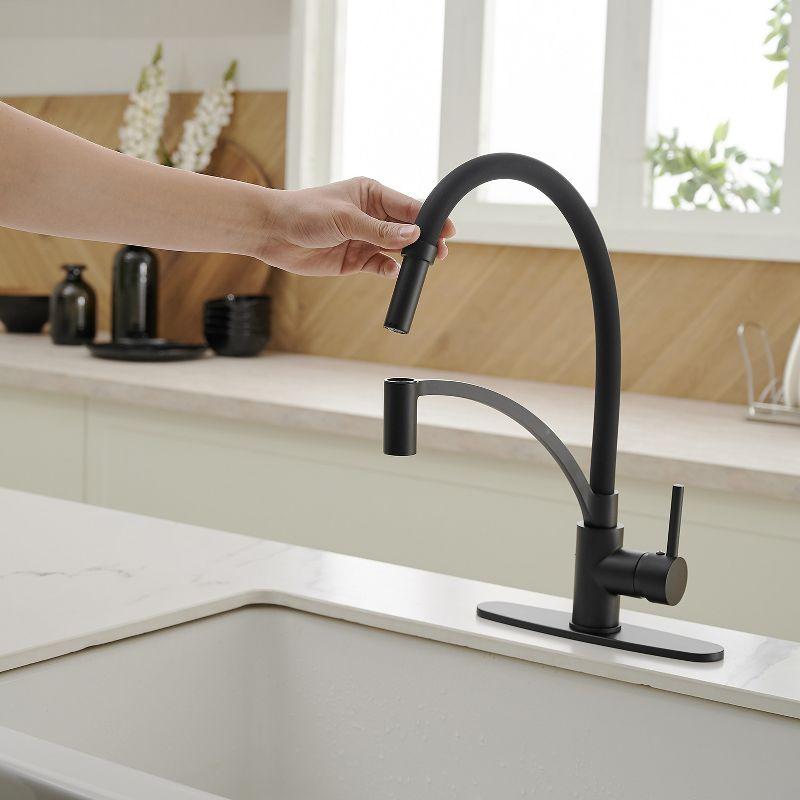 Pull Down Single Handle Kitchen Faucet with Accessories