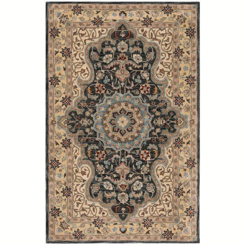 Heritage HG918 Hand Tufted Area Rug  - Safavieh