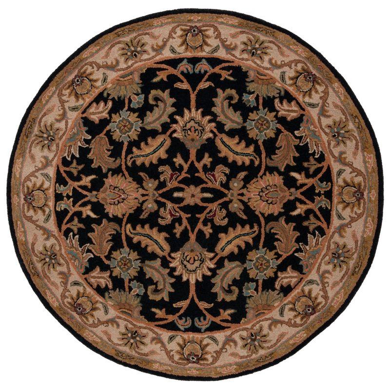 Heritage HG628 Area Rug  - Safavieh