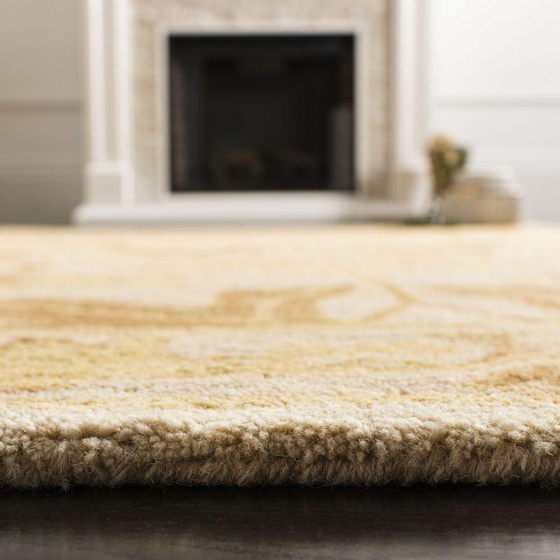 Anatolia AN541 Hand Tufted Indoor Area Rug - Beige/Gold - 6' Round - Safavieh
