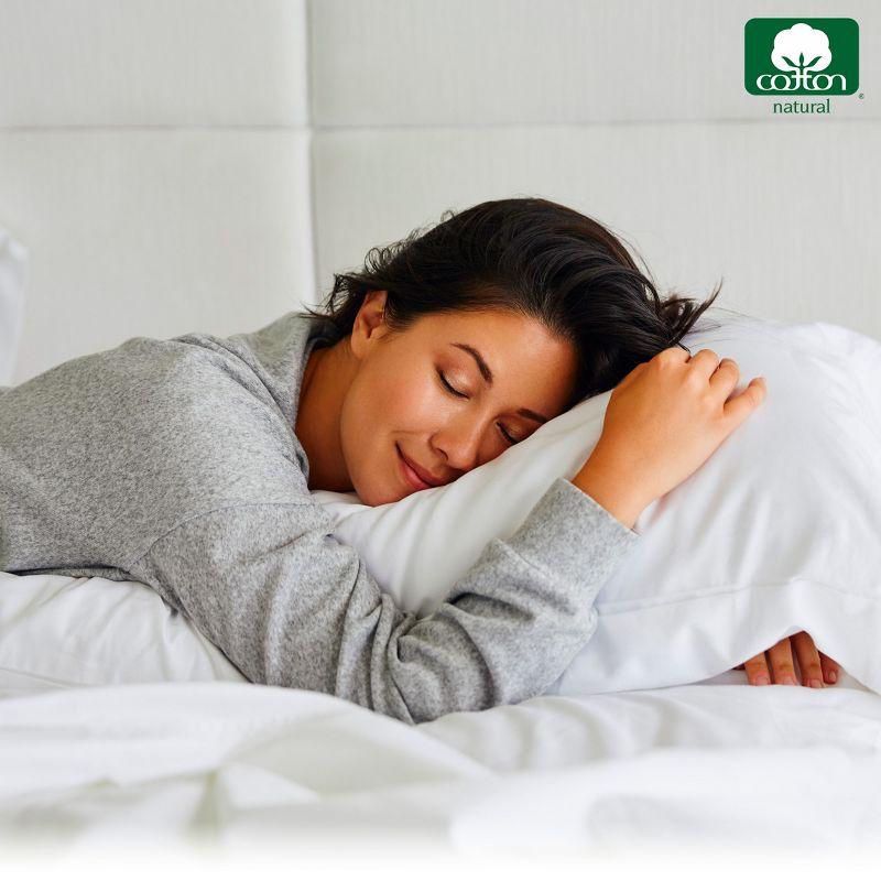 100% Cotton Seafoam Pillow Cases Standard Size / Queen Size Set of 2 Soft & Cooling Sateen Weave by California Design Den