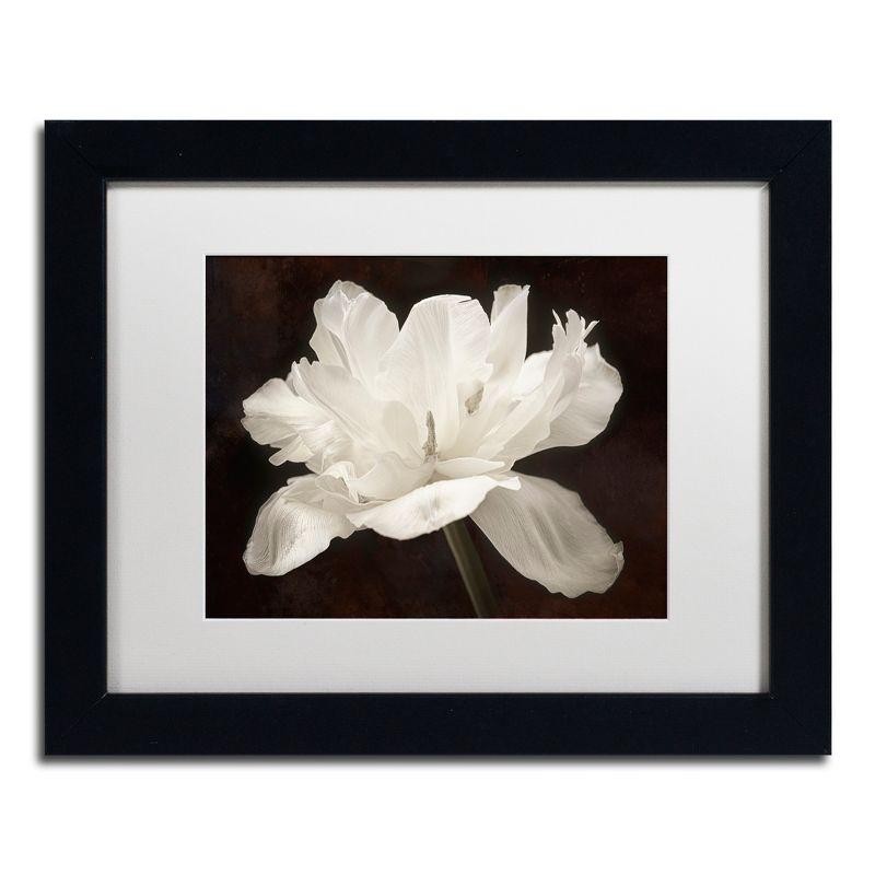 Trademark Fine Art - Cora Niele 'White Tulip I' Matted Framed Art