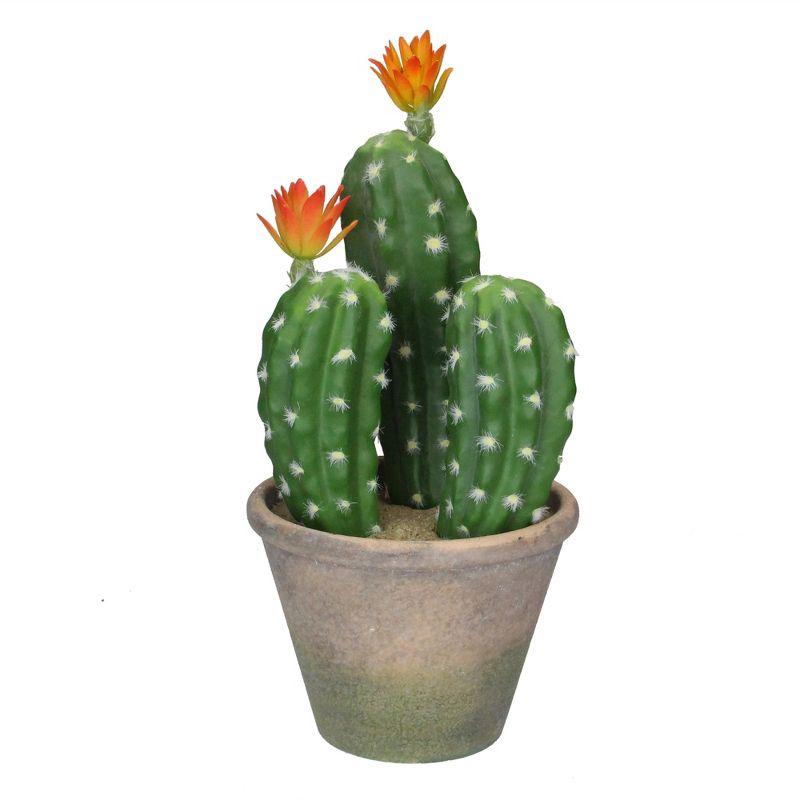 12.5" Green Flowering Column Cactus in Rustic Ceramic Pot