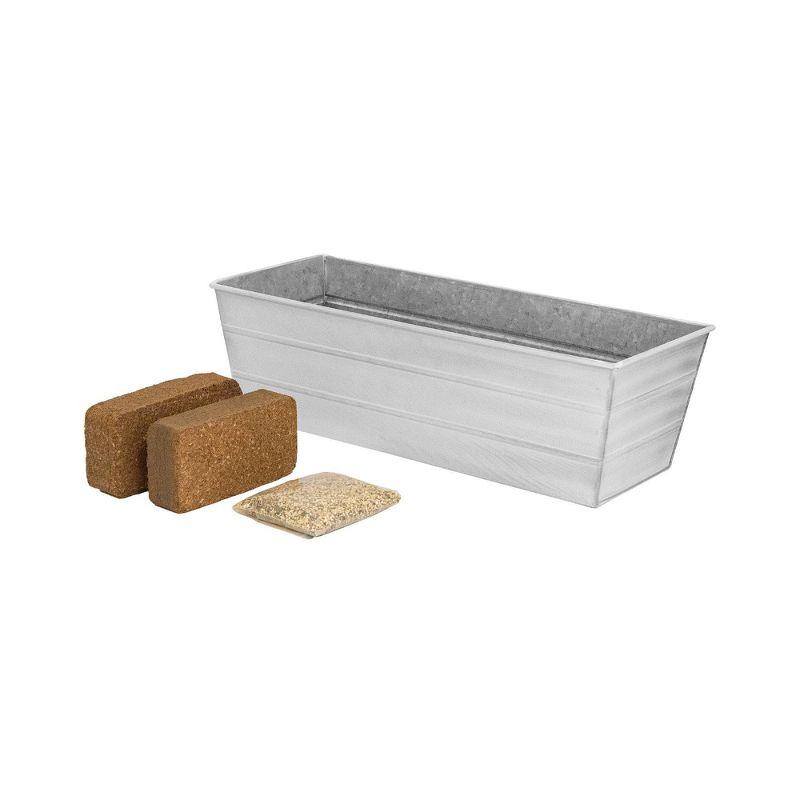 Light Off-White Galvanized Steel Outdoor Planter Box with Growing Kit