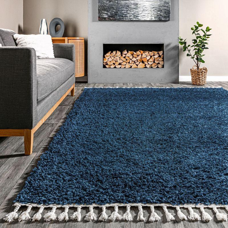 Blue Braided Reversible Shag Area Rug with Tassels