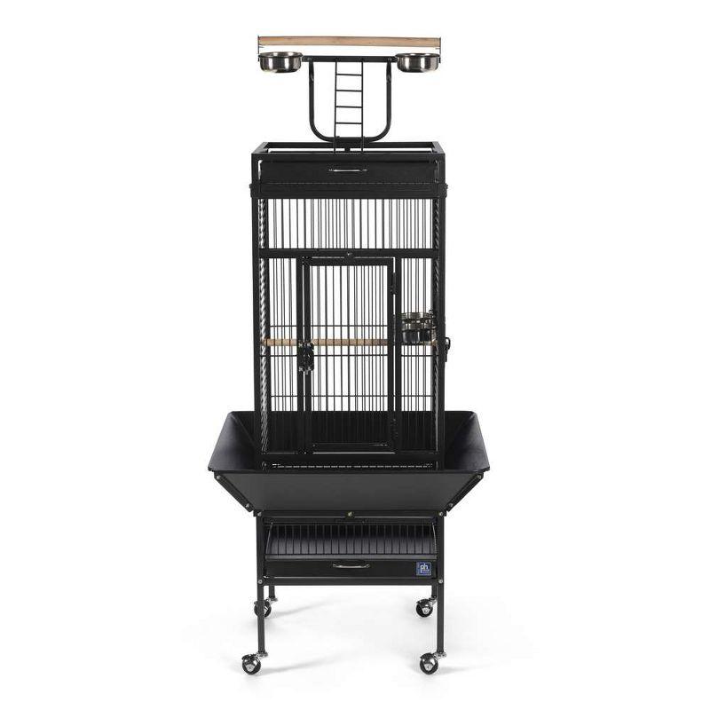 Prevue Pet Products Wrought Iron Select Bird Cage Black Hammerstone 3151BLK